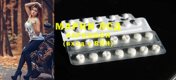стафф Аркадак