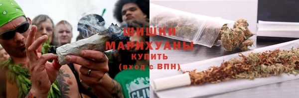стафф Аркадак