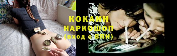 стафф Аркадак